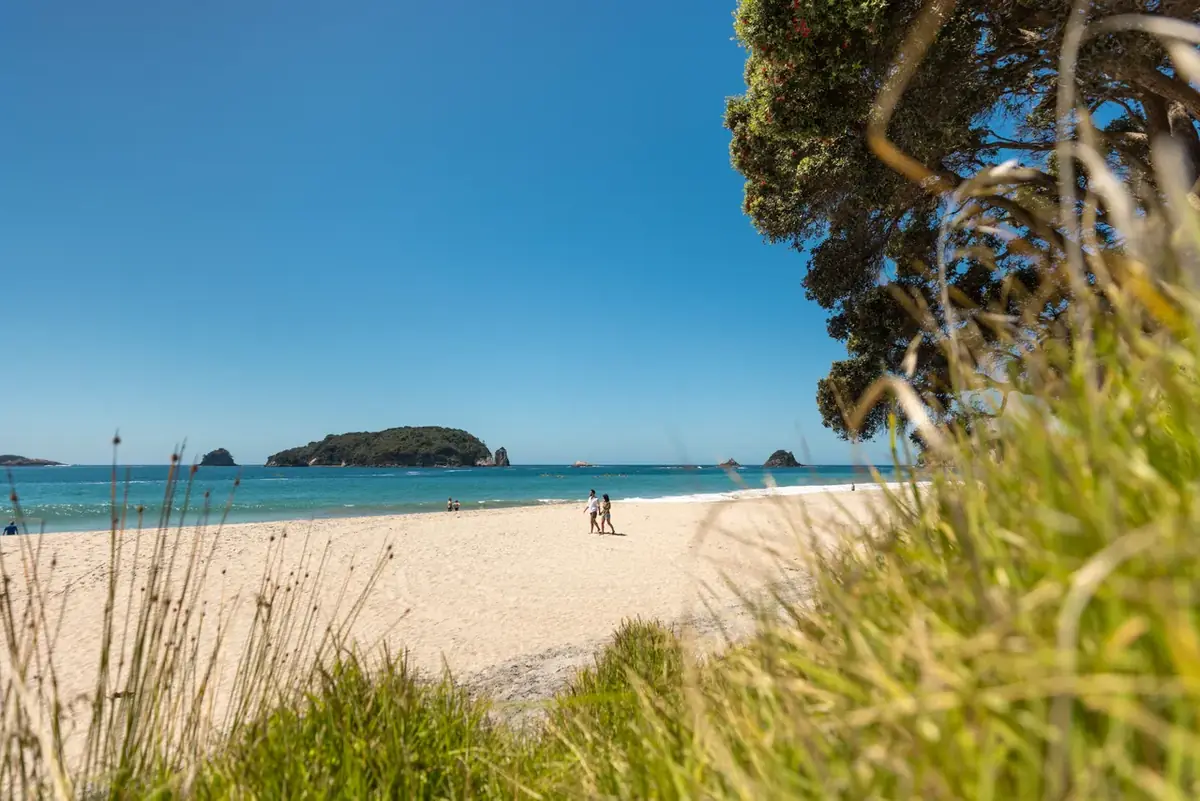 Golden sand and offshore islands at Hahei Beach on the Coromandel