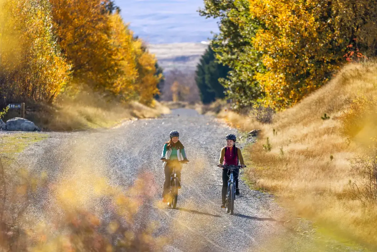 Cyclists between golden autumn trees in the Mackenzie country