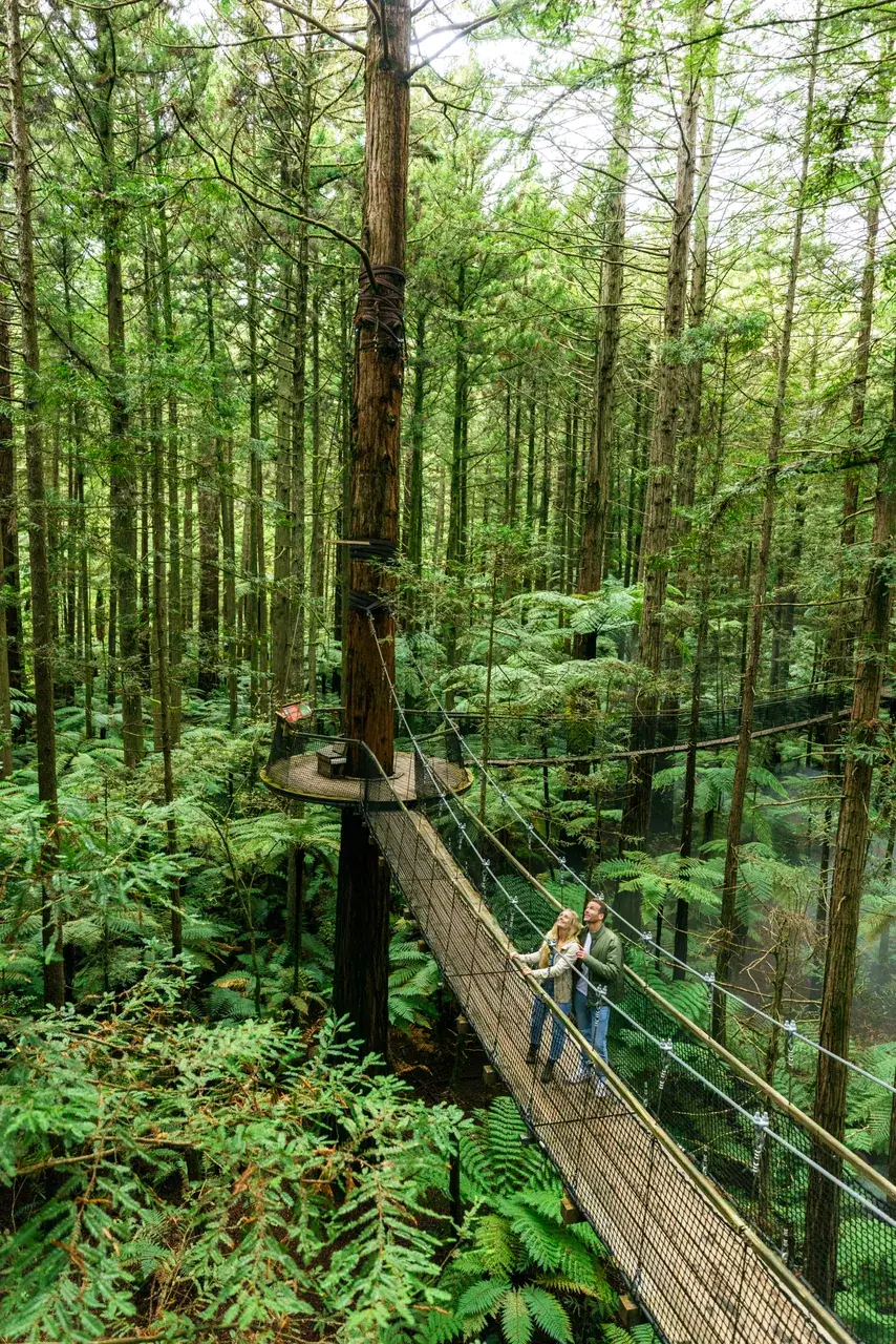 A couple crossing the Redwoods Treewalk suspension bridges in Rotorua