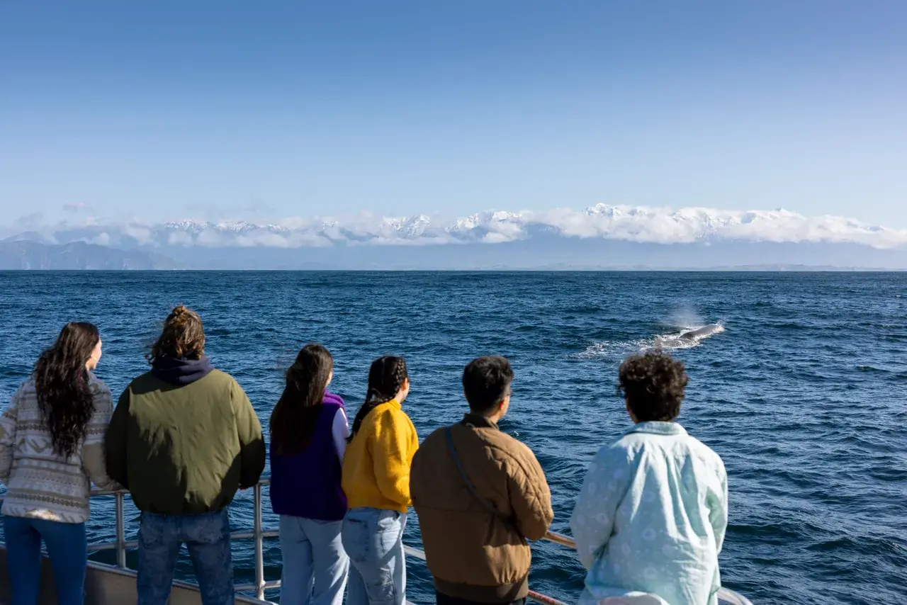 A family at the rail of a boat watching a whale blow offshore