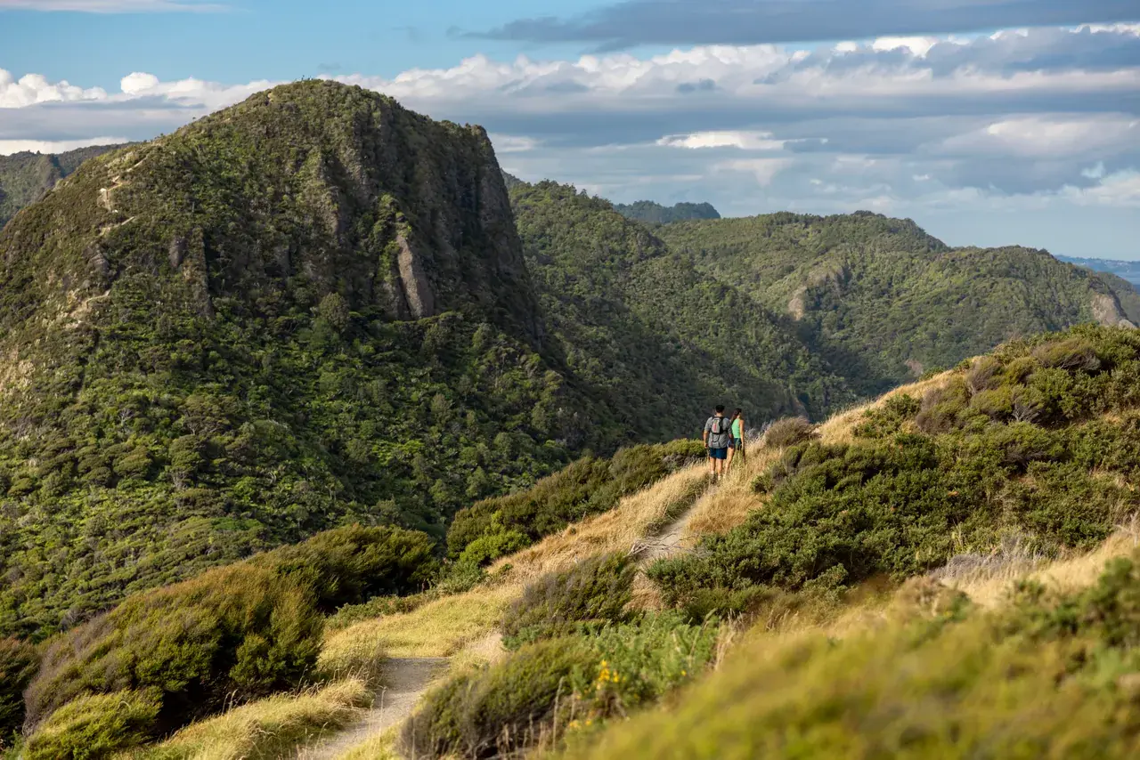 Walkers on a ridge track above native bush and green valleys