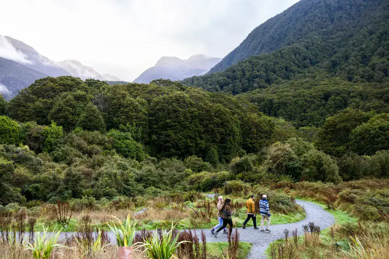 Walkers on a path through wetland gardens below forested mountains