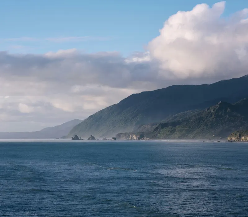The rugged West Coast shoreline near Greymouth