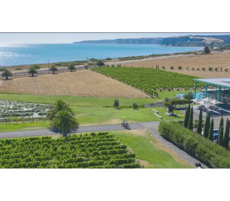 Riders crossing a coastal Hawke’s Bay vineyard on a flat cycle trail