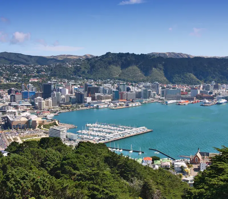 Wellington city and harbour from the surrounding hills