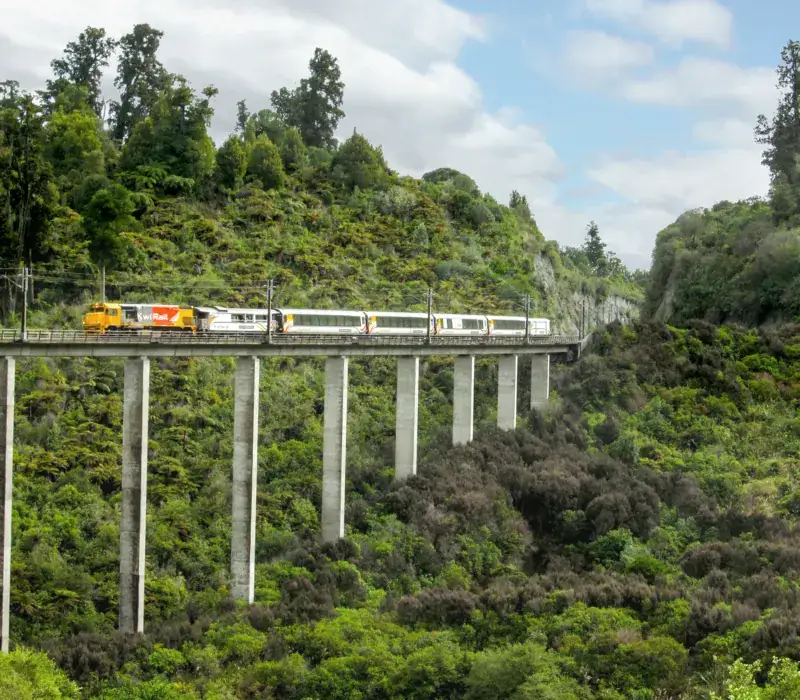 The Northern Explorer train crossing the Hapuawhenua viaduct through native bush