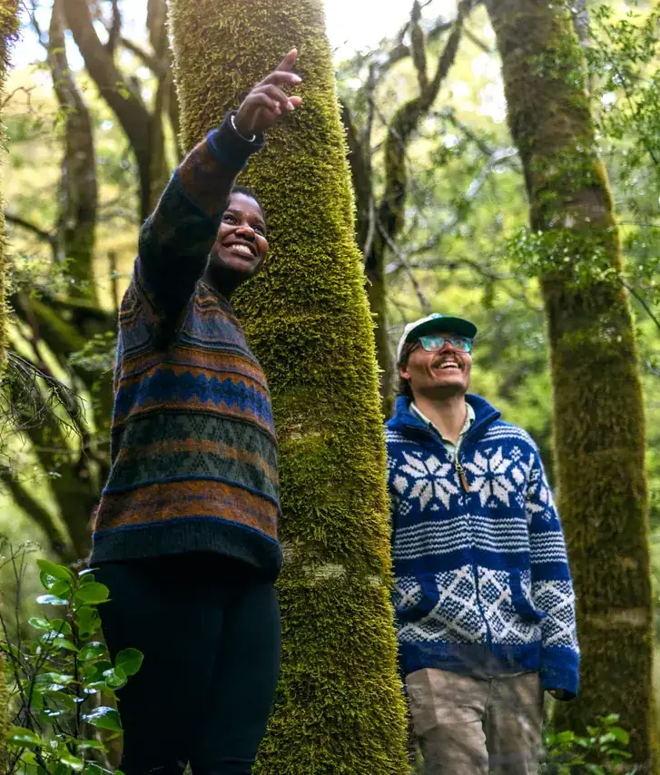 A local guide pointing out native forest detail to a traveller in New Zealand