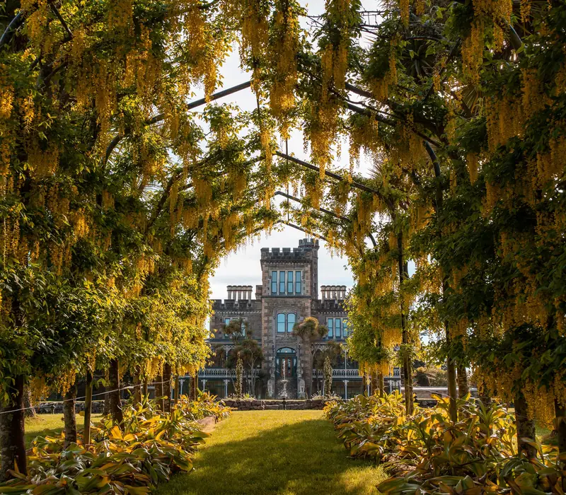 Day 7 of 10 Day Signature South Island: Travel via Gore and Balclutha to Dunedin known as the ‘Edinburgh of the South’ and enjoy a