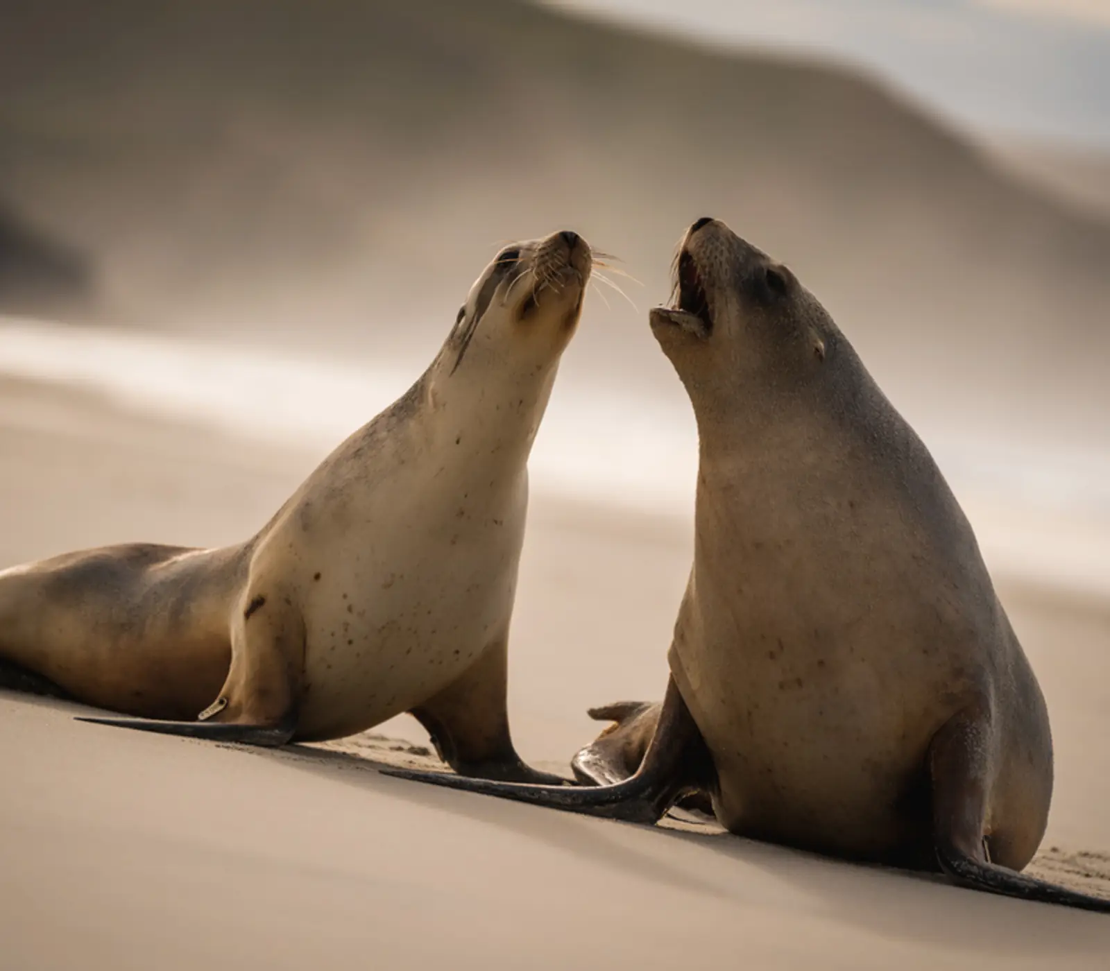 17 Day Ultimate Festive Season: 17 day New Zealand small group tour