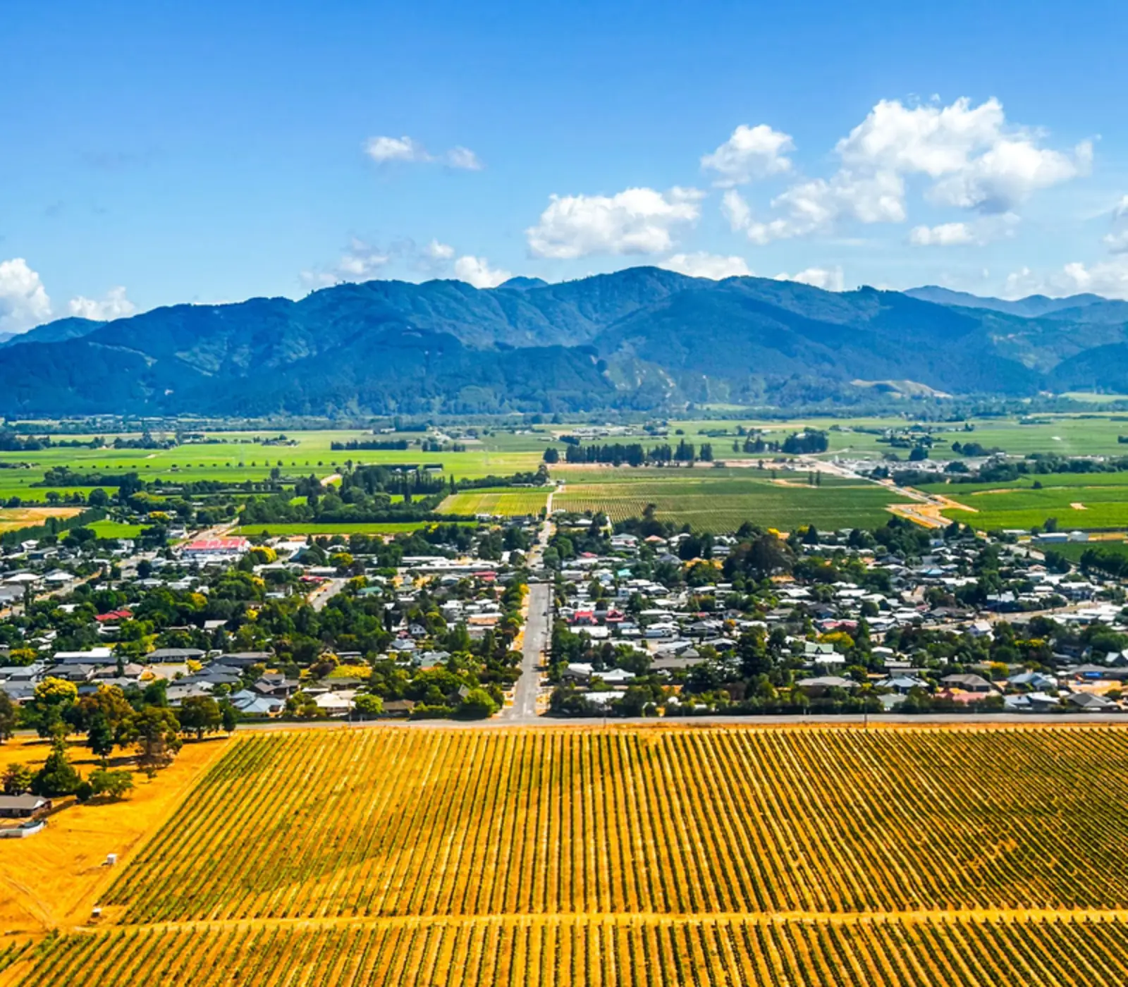Day 10 of Essential Southern Extravaganza: Kaikoura to Blenheim