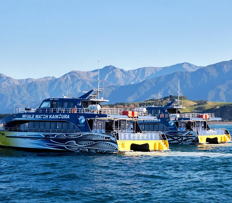 Day 3: Ocean’s Cabin with Whale Watch Kaikōura, Coastal Trails & Rails