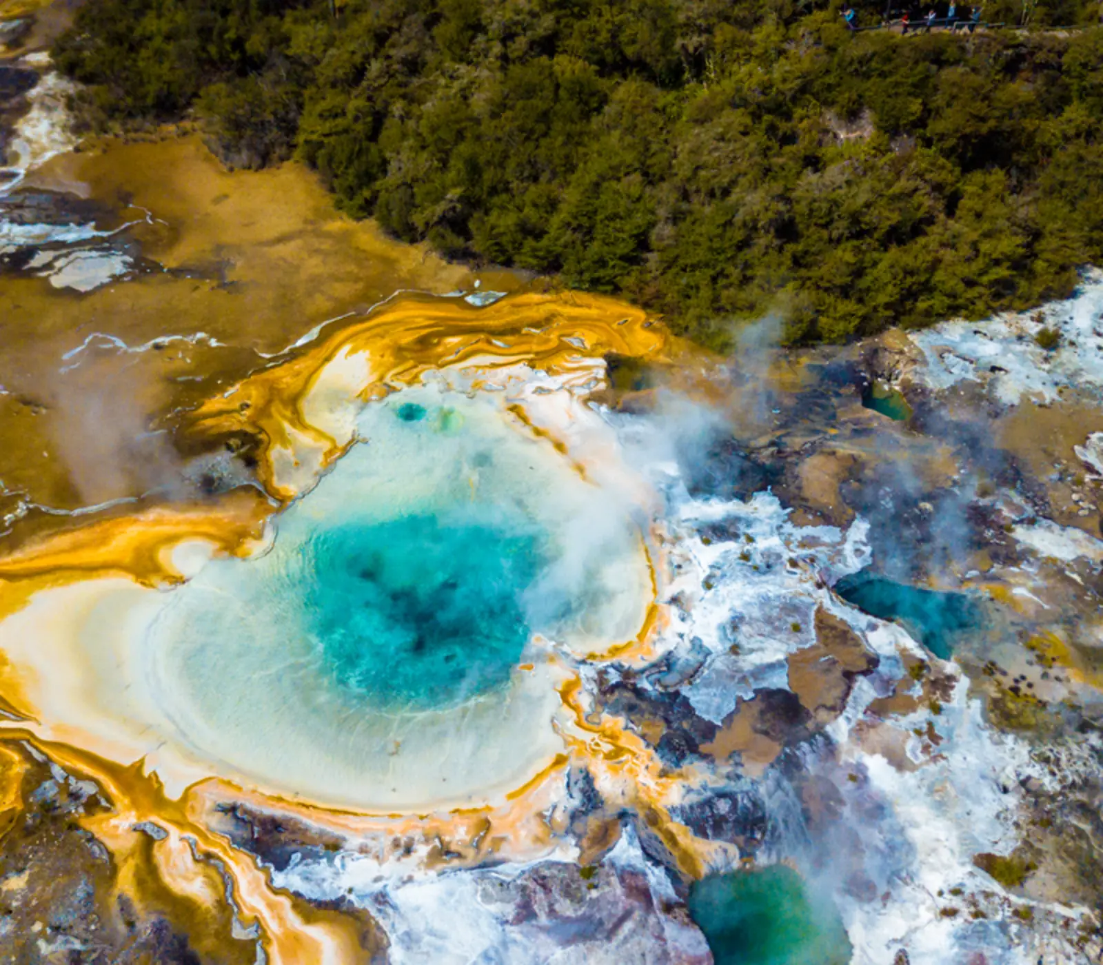 Day 3 of 21 day Ultimate NZ Explorer: Matamata to Rotorua