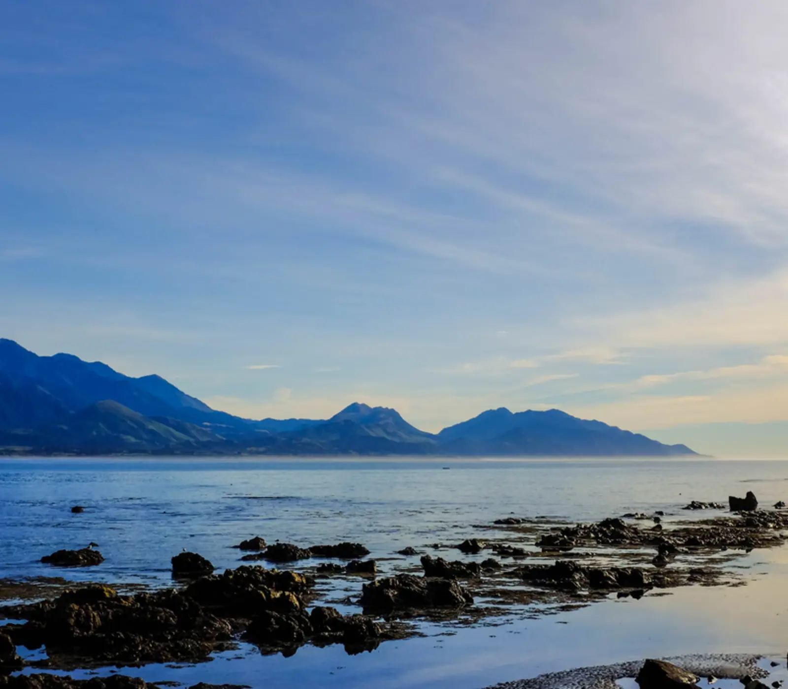 Day 8 of 21 day Ultimate NZ Explorer: Kaikōura