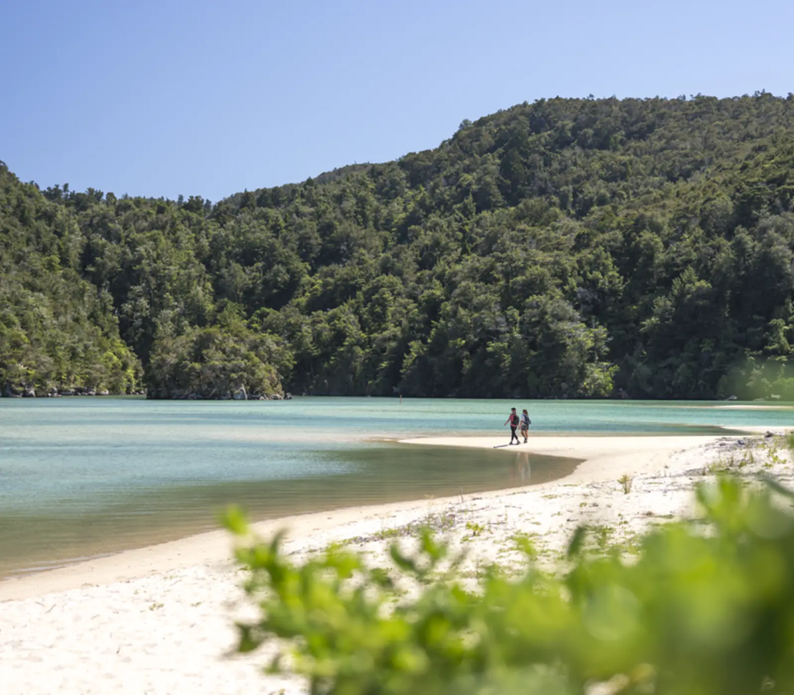 Day 11 of Essential Southern Extravaganza: Blenheim to Abel Tasman National Park via Queen Charlotte Drive