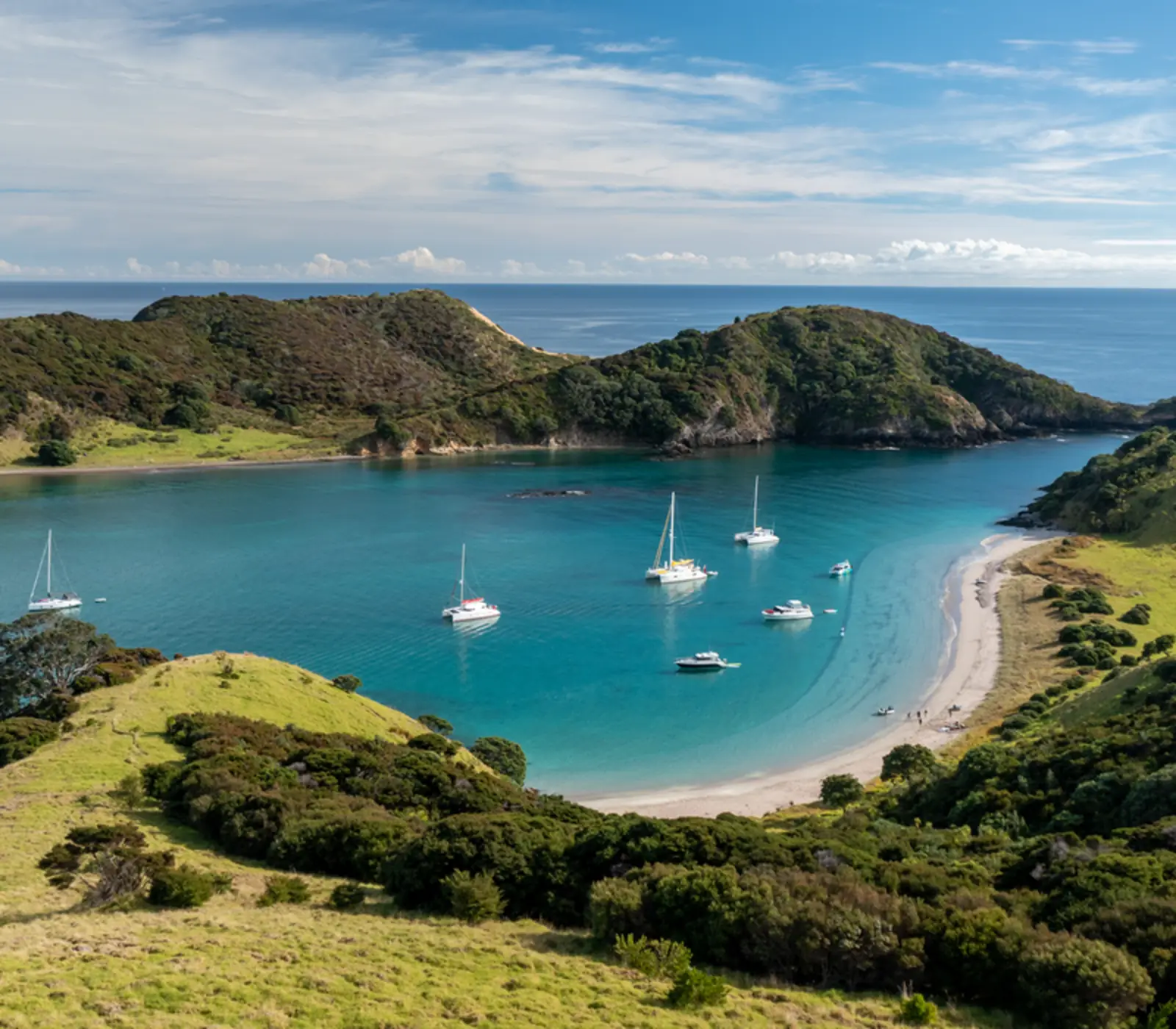 Northern Highlights Escape: 8 day New Zealand self drive tour
