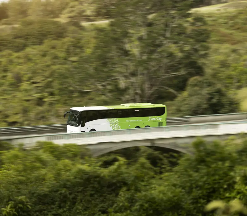 Day 1: Shared Transfer from Kaikoura Railway Station to Accommodation with Kaikoura Shuttles (photo 3), 4 day Kaikoura, TranzAlpine and West Coast