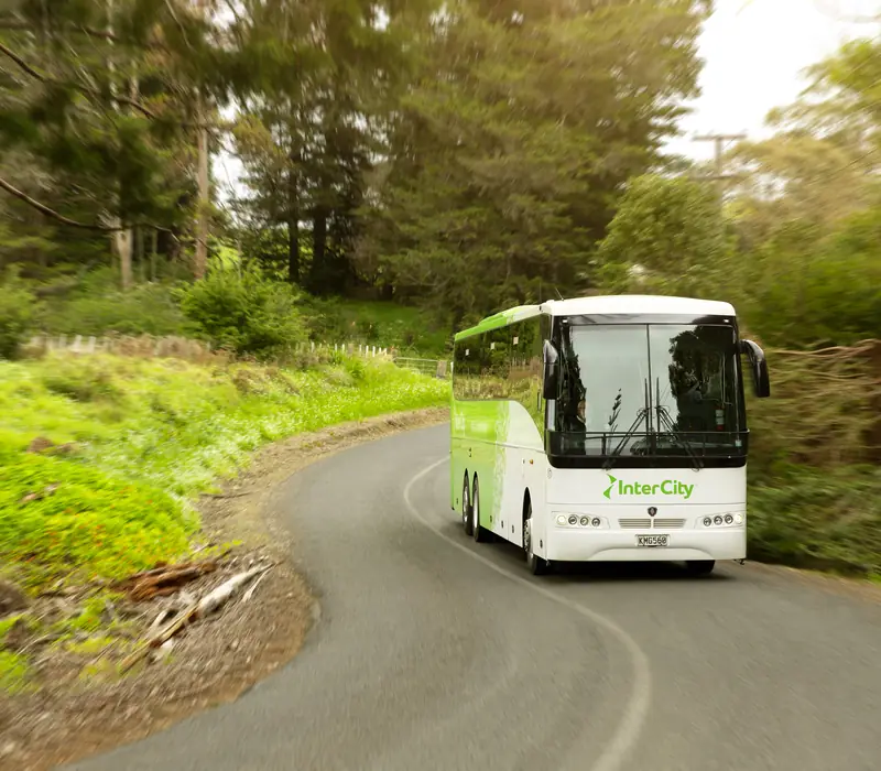 Day 1: Shared Transfer from Kaikoura Railway Station to Accommodation with Kaikoura Shuttles (photo 4), 4 day Kaikoura, TranzAlpine and West Coast