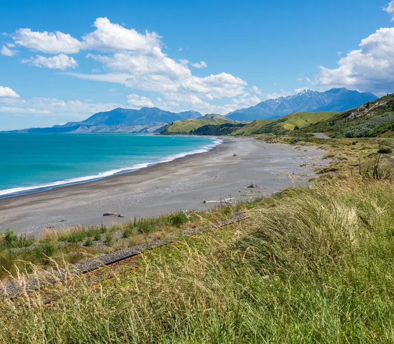 Day 1: Shared Transfer from Kaikoura Railway Station to Accommodation with Kaikoura Shuttles (photo 2), 4 day Kaikoura, TranzAlpine and West Coast