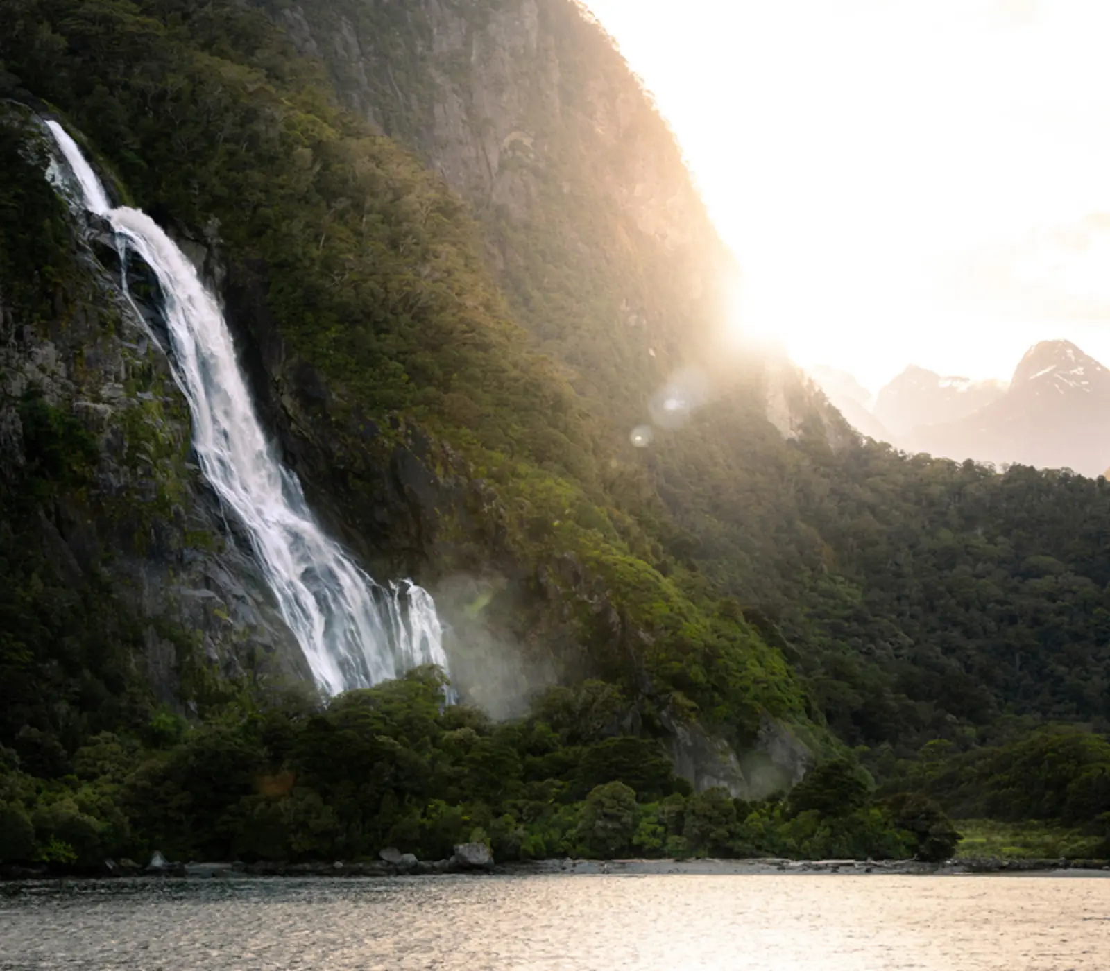 5 Days of Fun in Fiordland: 5 day New Zealand guided coach tour