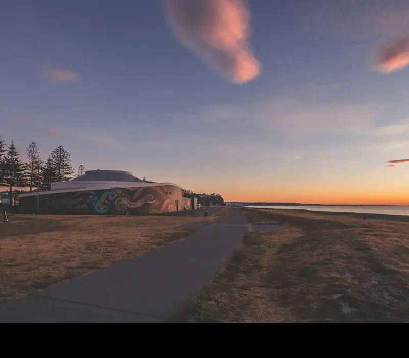 Day 3 of 7 Day North Island Explorer: General Admission to National Aquarium of New Zealand