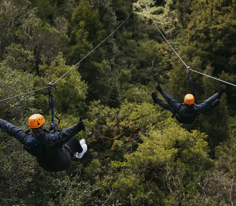 Day 5 of 7 Day North Island Explorer: Original Ziplining Experience with Rotorua Canopy Tours