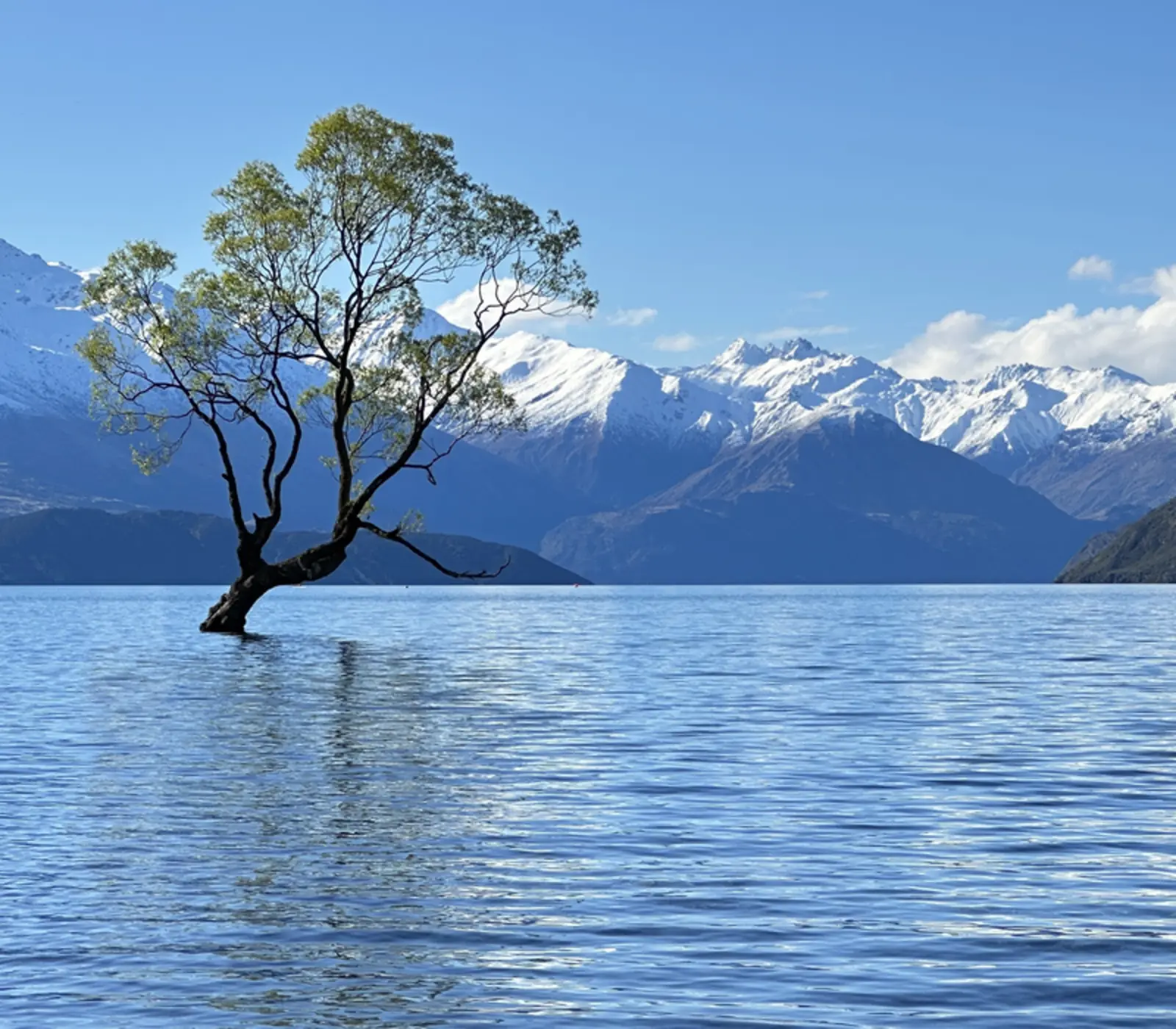 A Family Holiday at Cardrona: 5 day New Zealand self drive tour