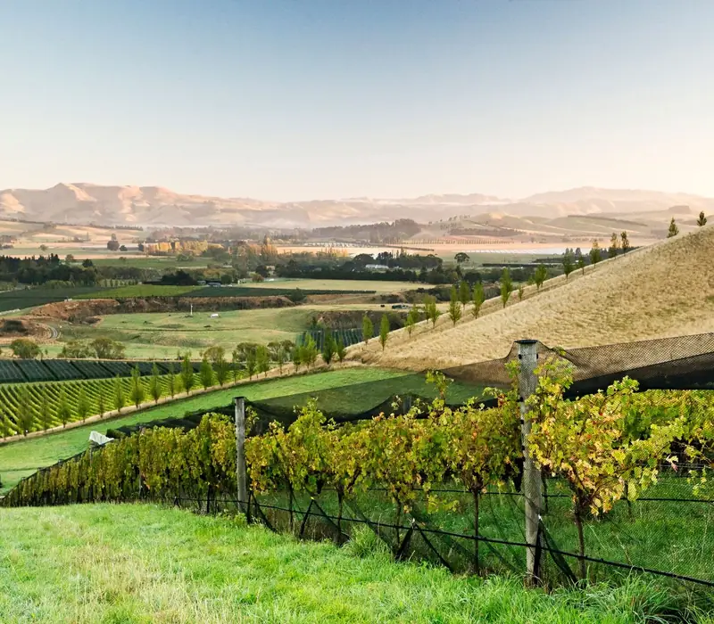 Day 2: Akaroa & the Banks Peninsula (photo 2), 9 day South Island Wine Adventure