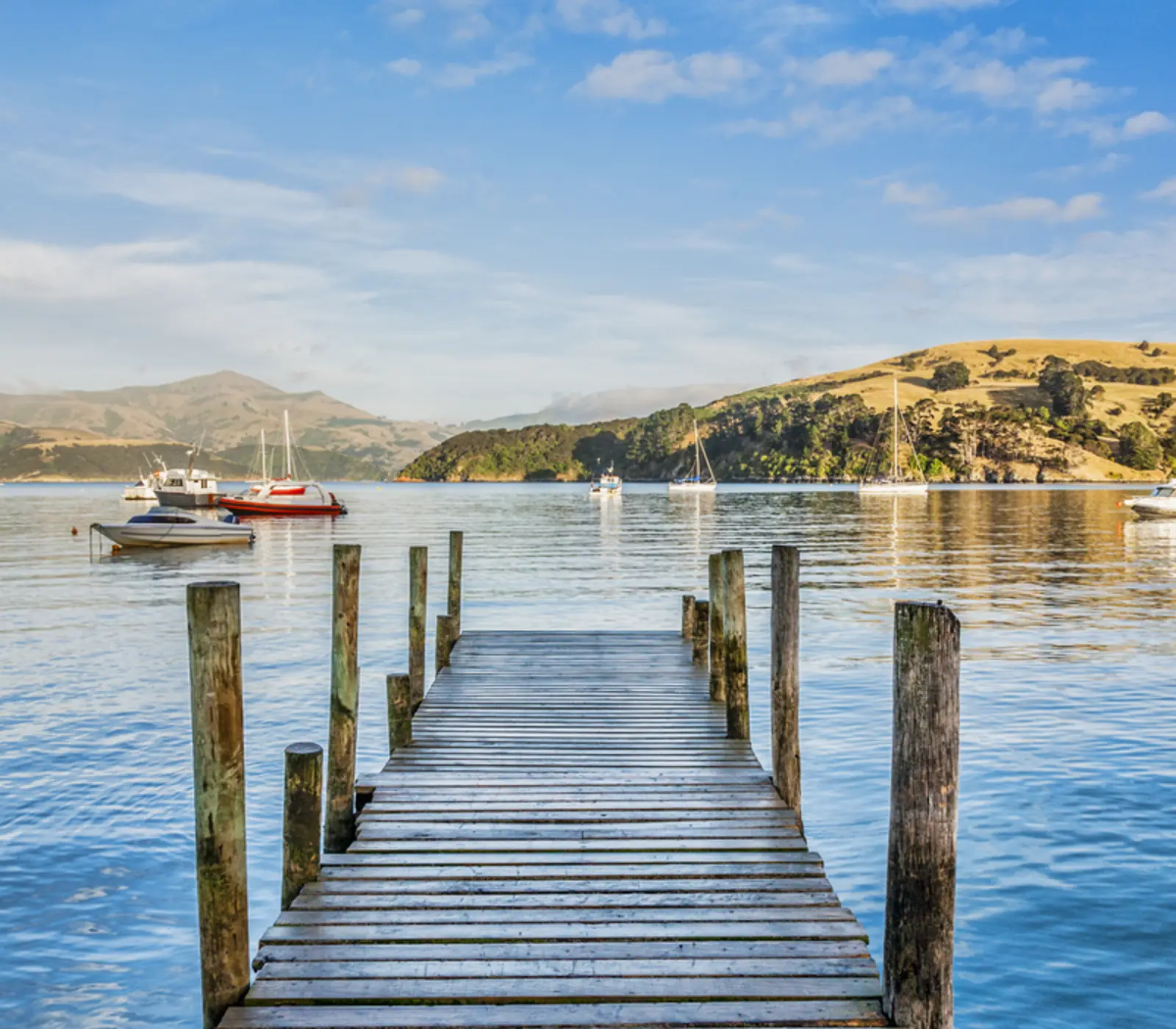 9 day South Island Wine Adventure: 9 day New Zealand self drive tour