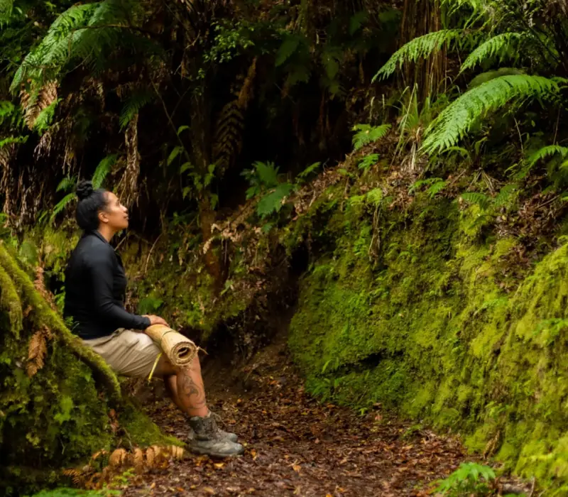 Day 4 of A Taste of the North Island: Guided Cultural Eco-Tour with Whirinaki Forest Footsteps - Lunch Included