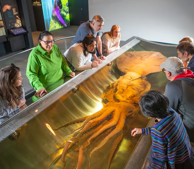 Day 2: Entry to Te Papa The Museum of New Zealand, Accessible Aotearoa: Wellington to Hawkes Bay