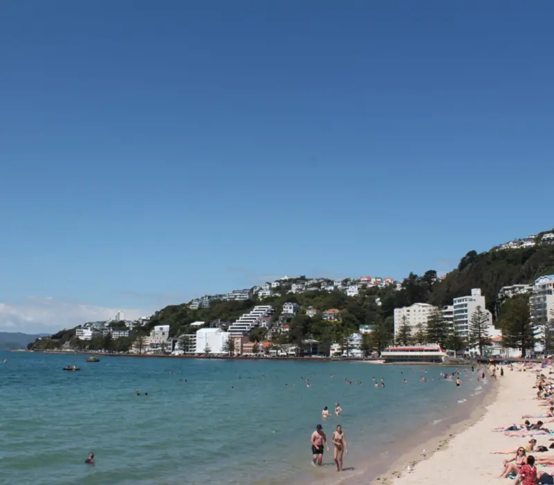 Day 2: Entry to Te Papa The Museum of New Zealand (photo 4), Accessible Aotearoa: Wellington to Hawkes Bay