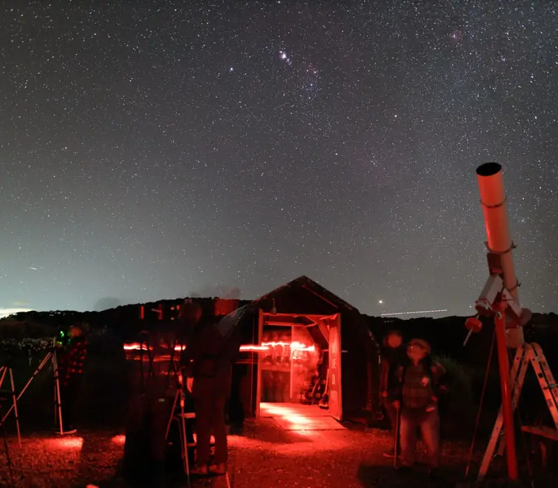 Day 9 of Aotearoa on a Plate: Auckland to Wellington: Star Safari with Milky-Way.Kiwi