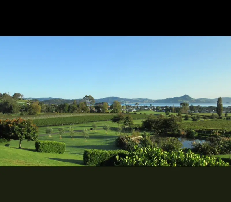 Day 3 of Aotearoa on a Plate: Auckland to Wellington: Mercury Bay Estate - suggested activity