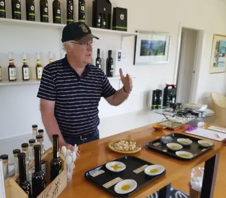 Day 11 of Aotearoa on a Plate: Auckland to Wellington: Taste Buds for Foodies Private Tour with Capital Personalised Tour - Lunch Included