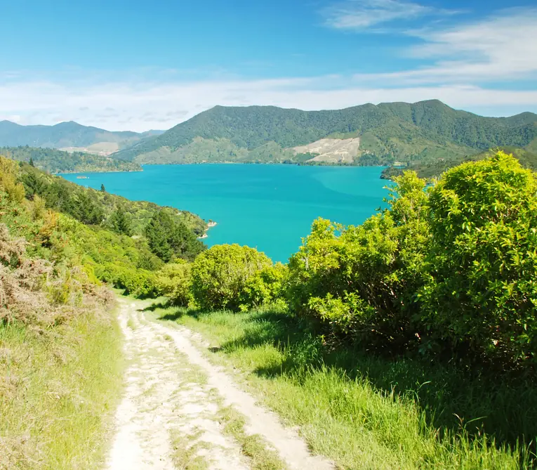 Day 6 of New Zealand Grand: Picton to Nelson via Queen Charlotte Drive