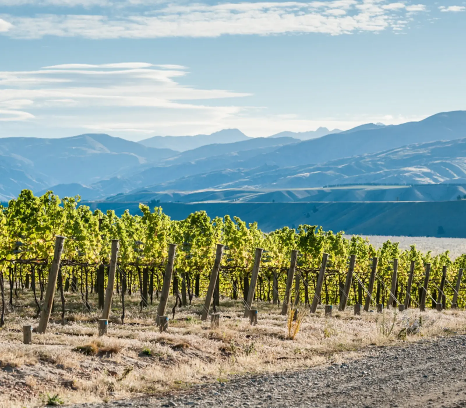 Coastal Explorer: 15 day New Zealand self drive tour