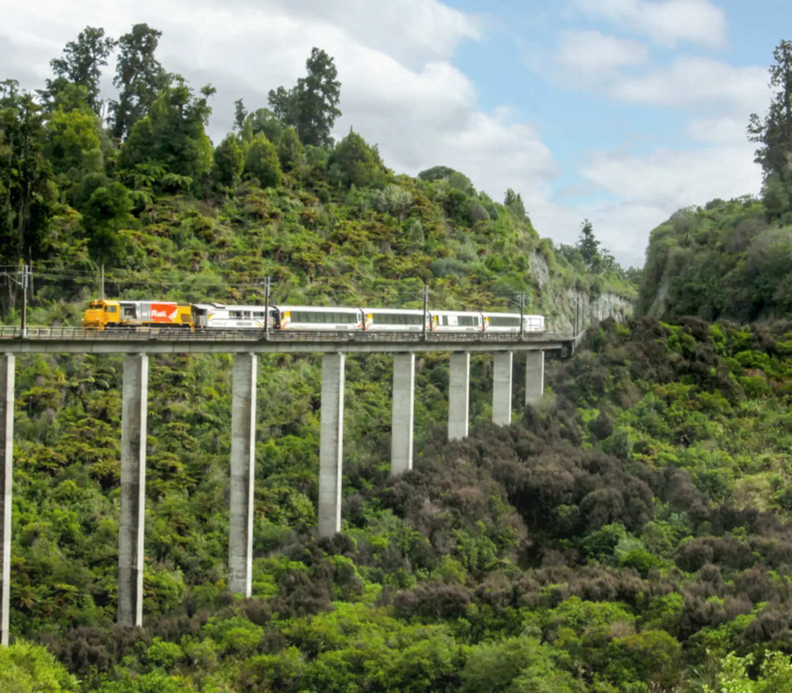 Day 10 of North Island Highlights: The Northern Explorer Scenic Train: Wellington to Taumarunui