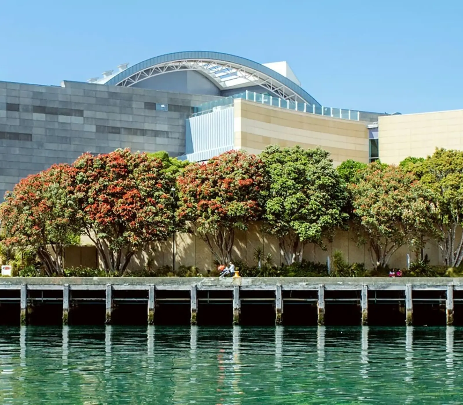 Day 6 of Auckland to Queenstown Discovery: Explore Wellington museums