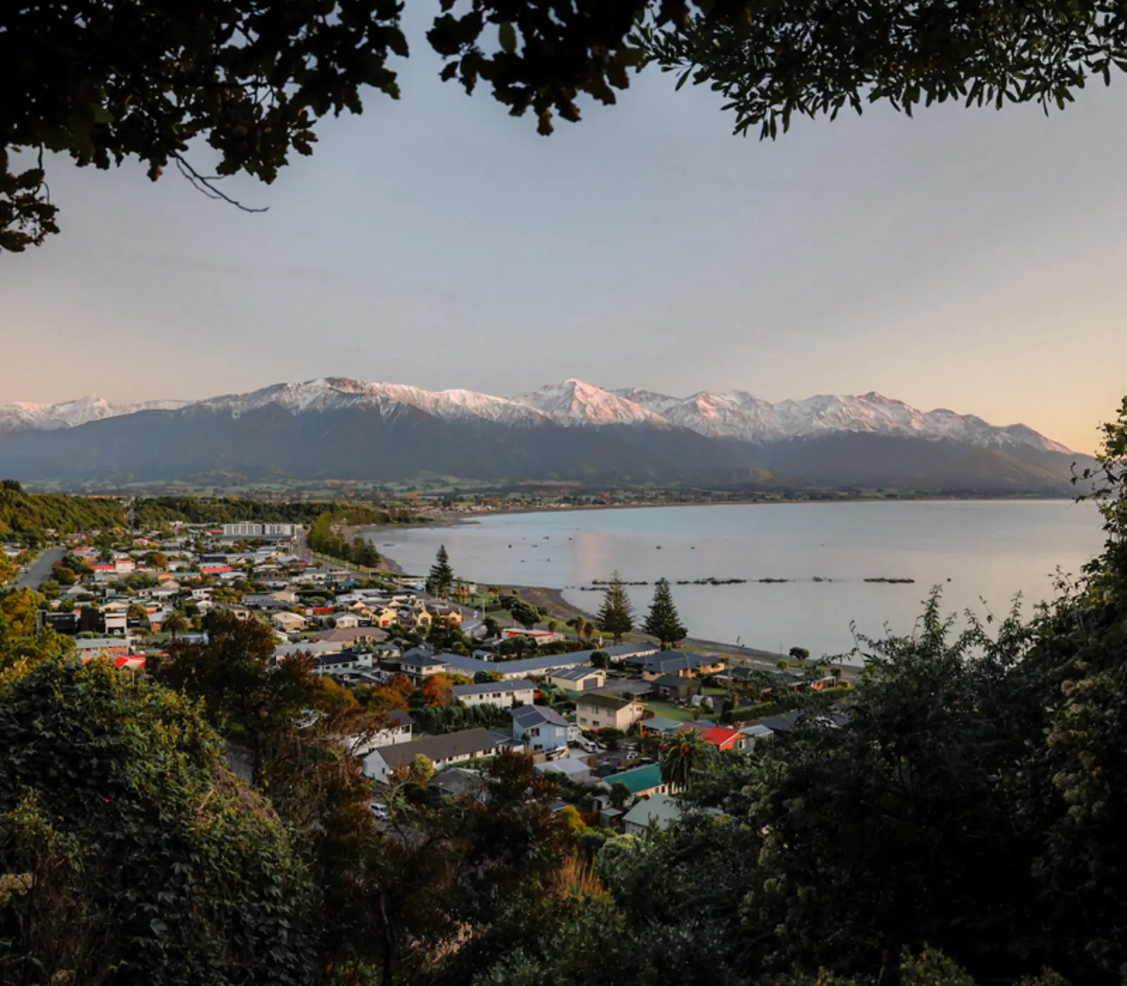 Day 10 of Discover Aotearoa: Blenheim to Kaikōura