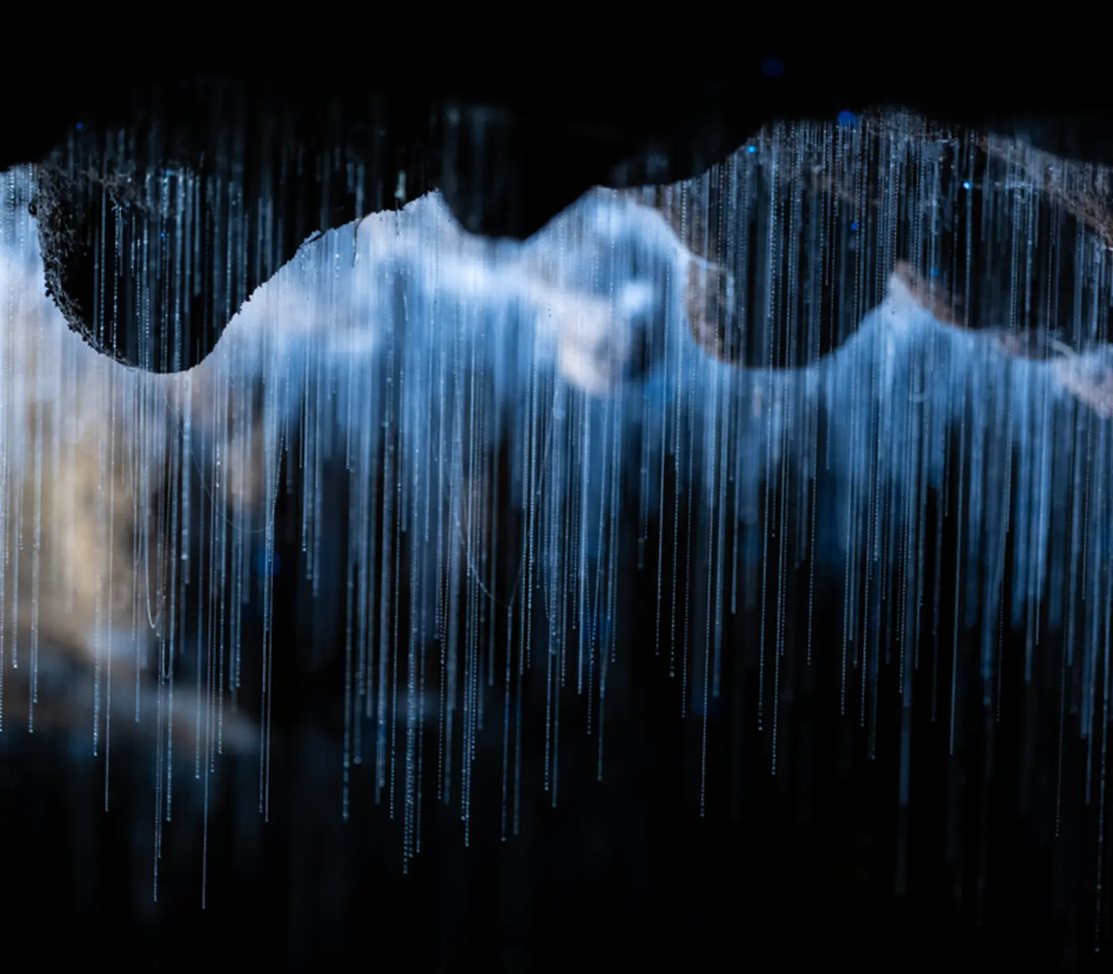 Day 3: Glow Worm Caves Tour with Discover Waitomo (photo 2), Auckland to Christchurch Wonders of New Zealand
