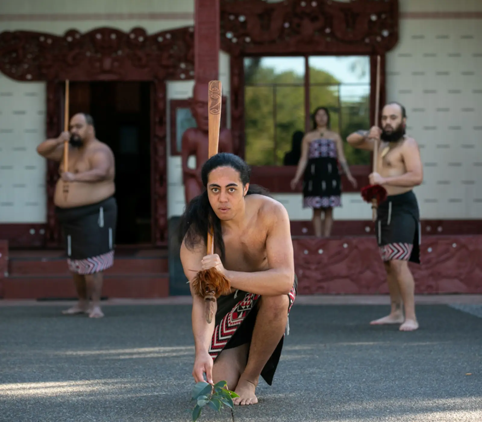 Bay of Islands and Rotorua Combo 5 Day Deluxe: 5 day New Zealand guided coach tour
