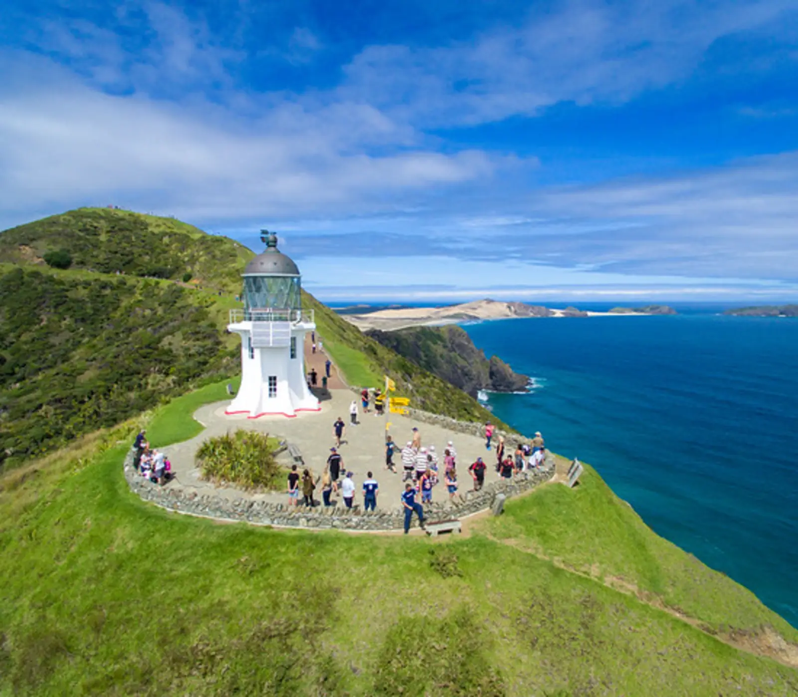 Northland to Rotorua Discovery: 8 day New Zealand guided coach tour