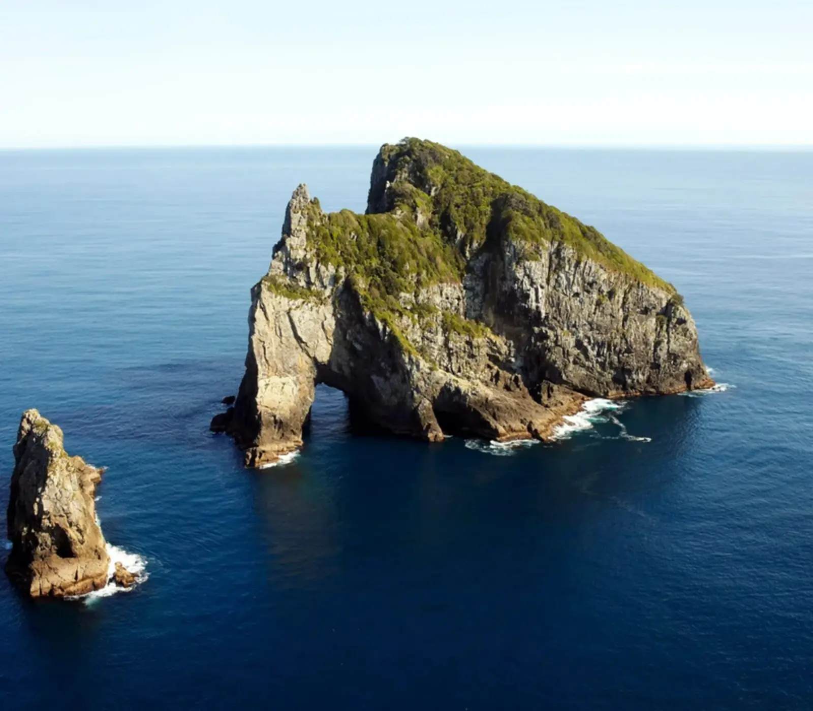 Day 2: Paihia, Bay of Islands to Auckland with InterCity Coach (photo 2), Bay of Islands Encounter