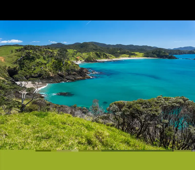 Day 2: Auckland to Paihia - Day 1 (photo 2), Bay of Islands Escape