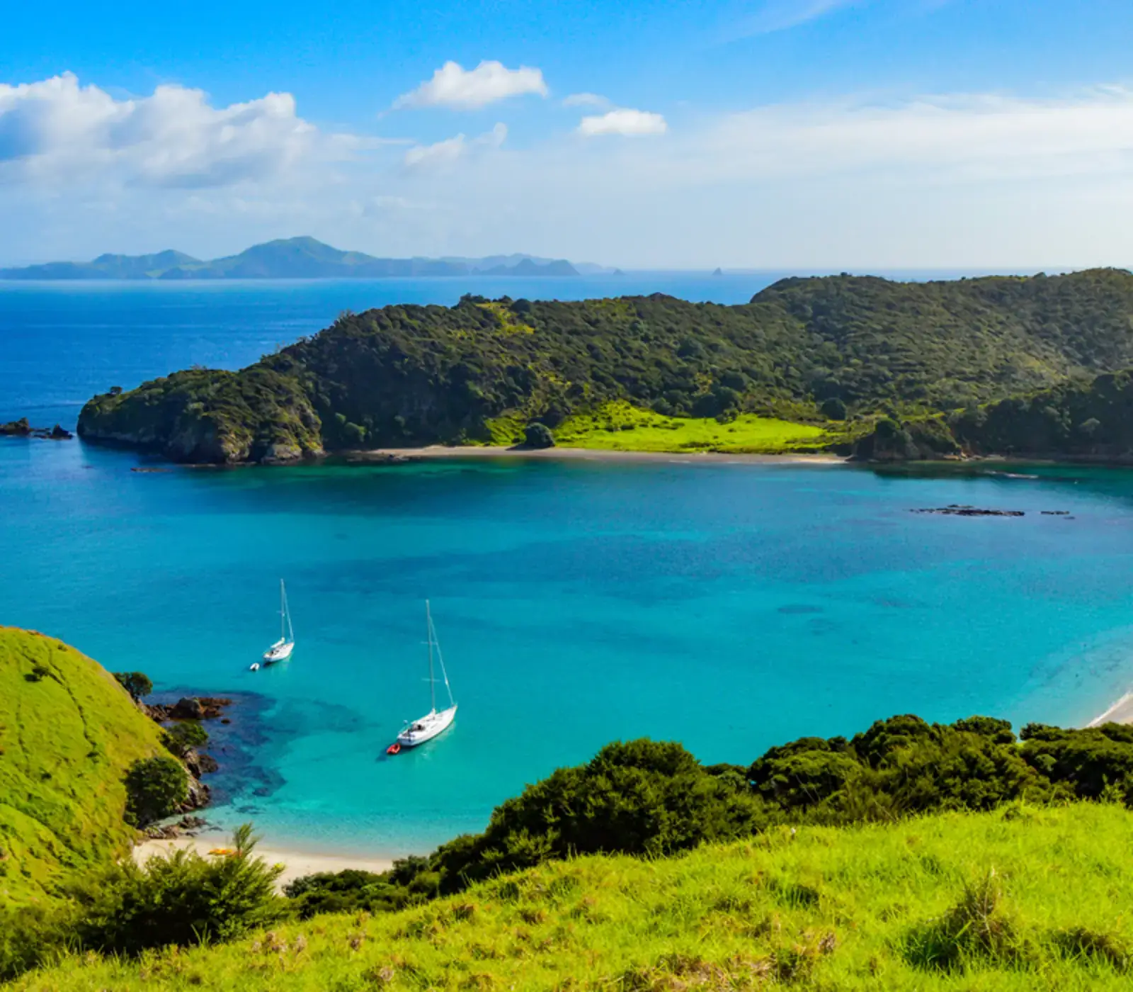 Day 3 of Treasures of the North: Explore Bay of Islands
