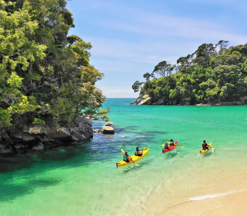 Day 10 of 21 day South Island Grand: Beaches, Bays and Seals Guided Sea Kayaking Trip with Wilsons - Lunch Included
