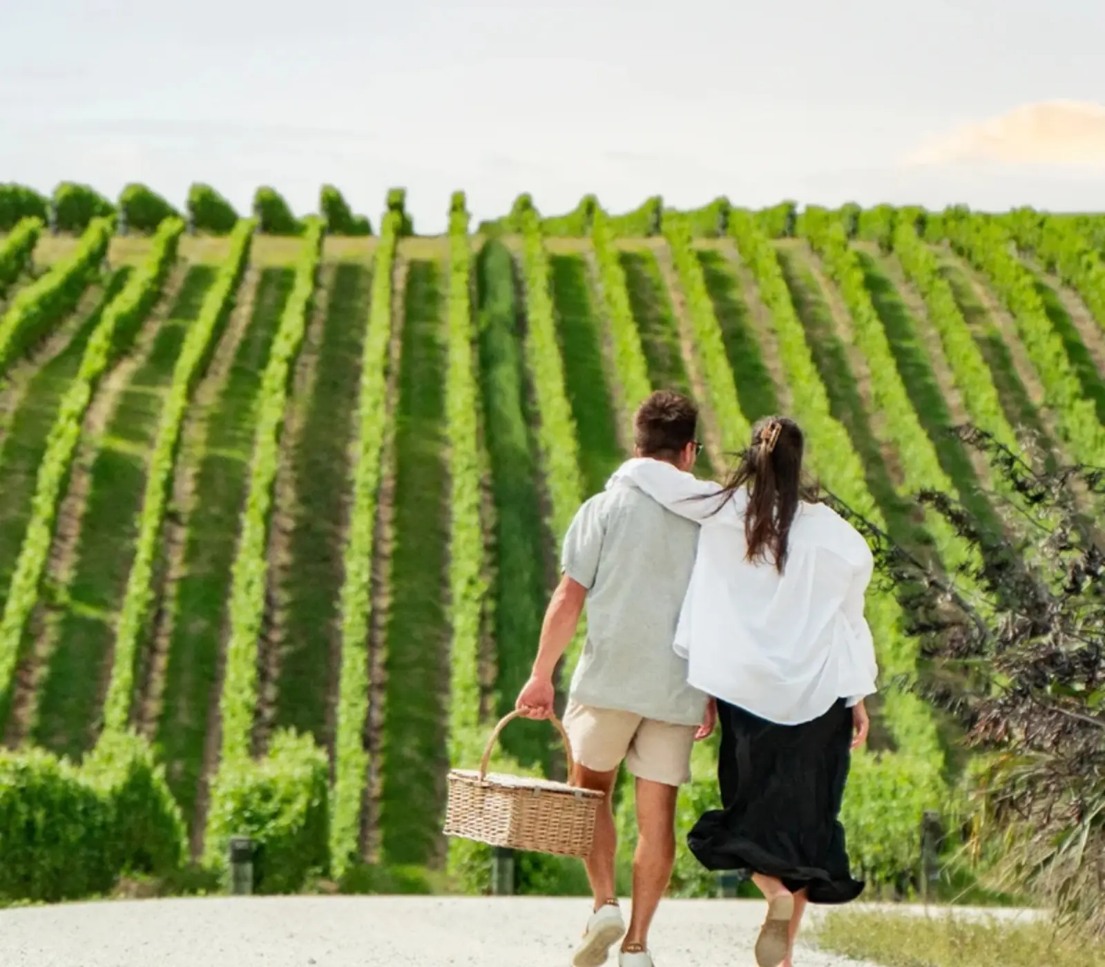 Southern Highlights Wellington to Queenstown: 8 day New Zealand self drive tour