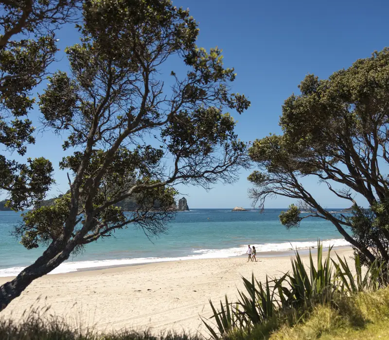 Day 24 of Boutique Northerner: Rotorua to Hahei