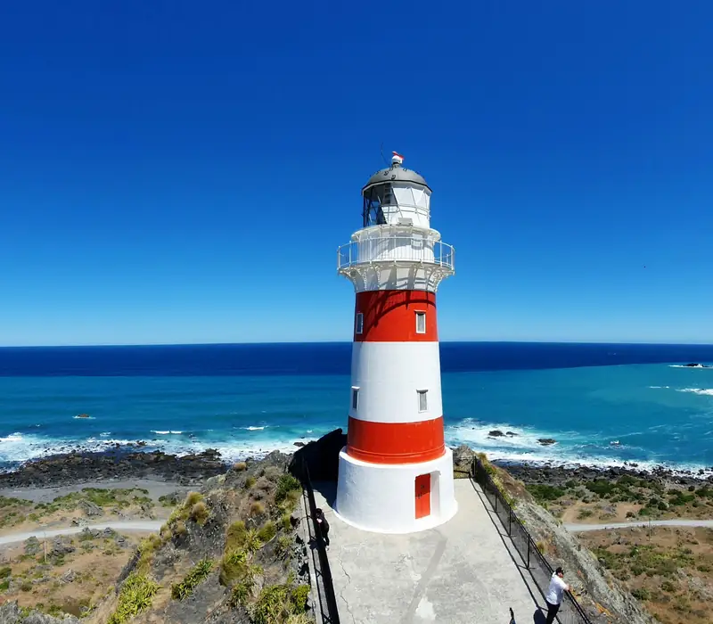 Day 14 of Cape to Capital Self Drive: Cape Palliser and the South Coast