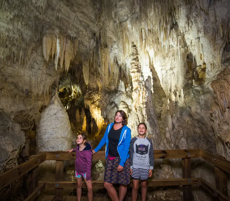 Day 5 of Central Highlights Self Drive: Waitomo Glowworm Caves and Aranui Cave tour